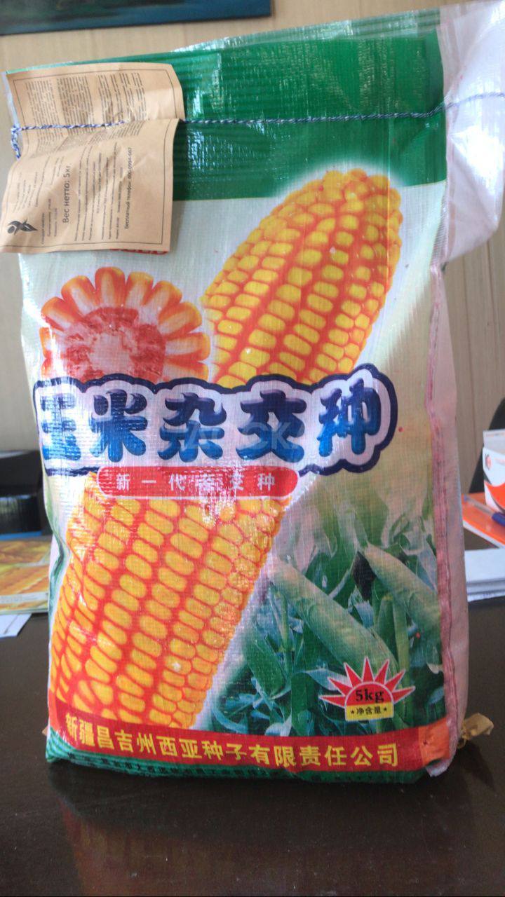 Продаю семена кукурузы “Лидер 777” (Китай)