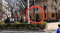 На пешеходном светофоре на Айтматова одновременно горят зеленый и красный. Фото