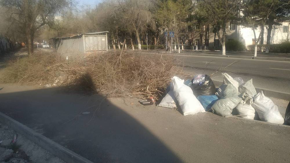 На Жантошева возле мусорки мешки и ветки. Фото