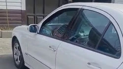 В Жалал-Абаде «Мерседес E350» припарковали на «зебре». Видео