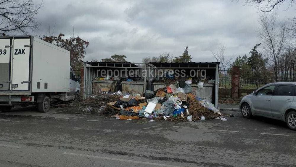 «Тазалык» вывез мусор на Мичурина после жалобы горожанина