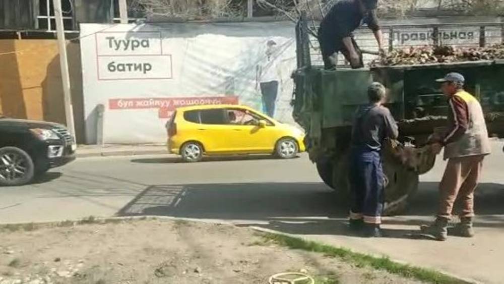 «Бишкекзеленхоз» убрал мусор в арыках на Элебаева. Видео мэрии
