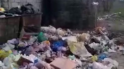 Житель Сокулука жалуется на мусор на улице Ленина. Видео