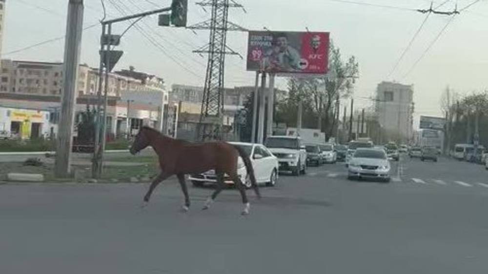 Домашнее порно на природе и улице