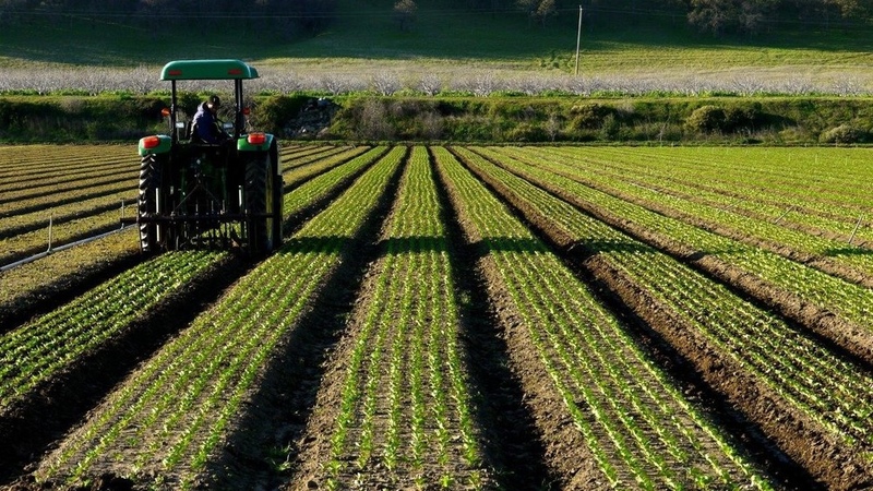 Growth of agriculture in Kyrgyzstan to decelerate to 2.5% in 2024 - Vimarsana News