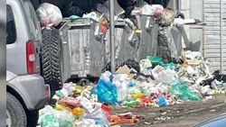 Вблизи Ортосайского рынка не вывозят мусор, - бишкекчанин