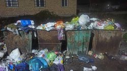 Жители улицы Суворова жалуются на соседку, которая складирует мусор в своем дворе