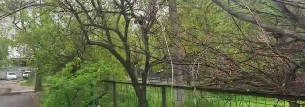 Ветер оборвал провода у школы 62