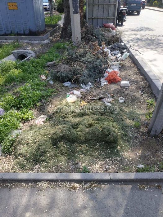 Мусор на улице Куренкеева. Фото горожанина