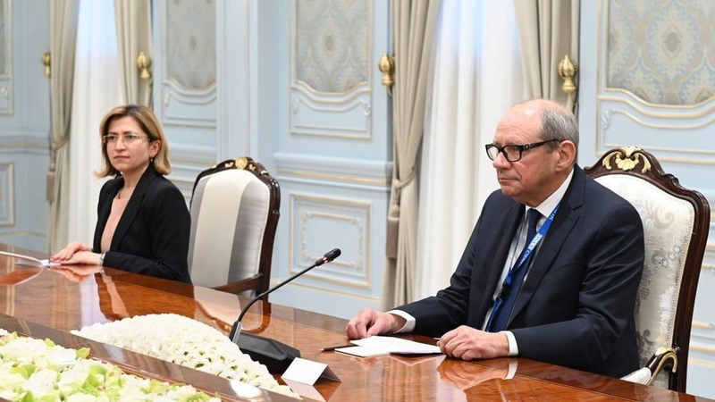 President of Uzbekistan and head of OSCE/ODIHR mission discuss amendments to Constitution of Uzbekistan - Vimarsana News
