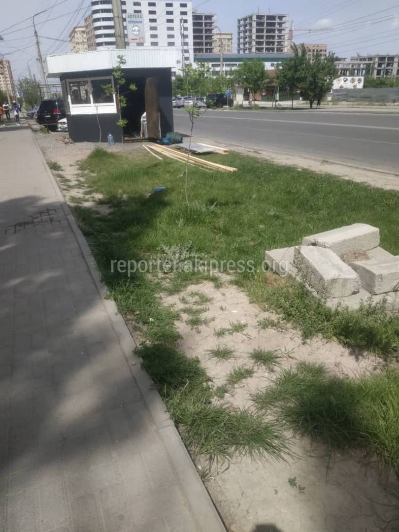 Законно ли установили павильон на газоне в Джале? - бишкекчанин