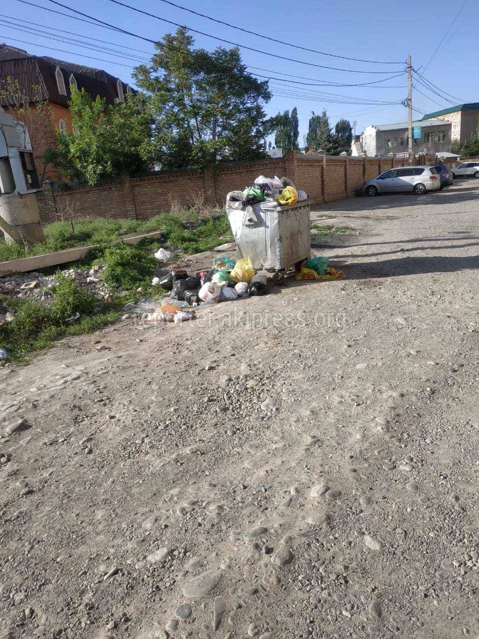 Мешки с мусором у дороги в Кок-Жаре. Фото