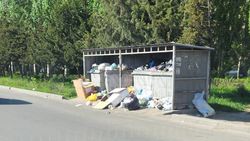 Горожанин Эмир жалуется на мусор в Асанбае и 12 мкр. Фото