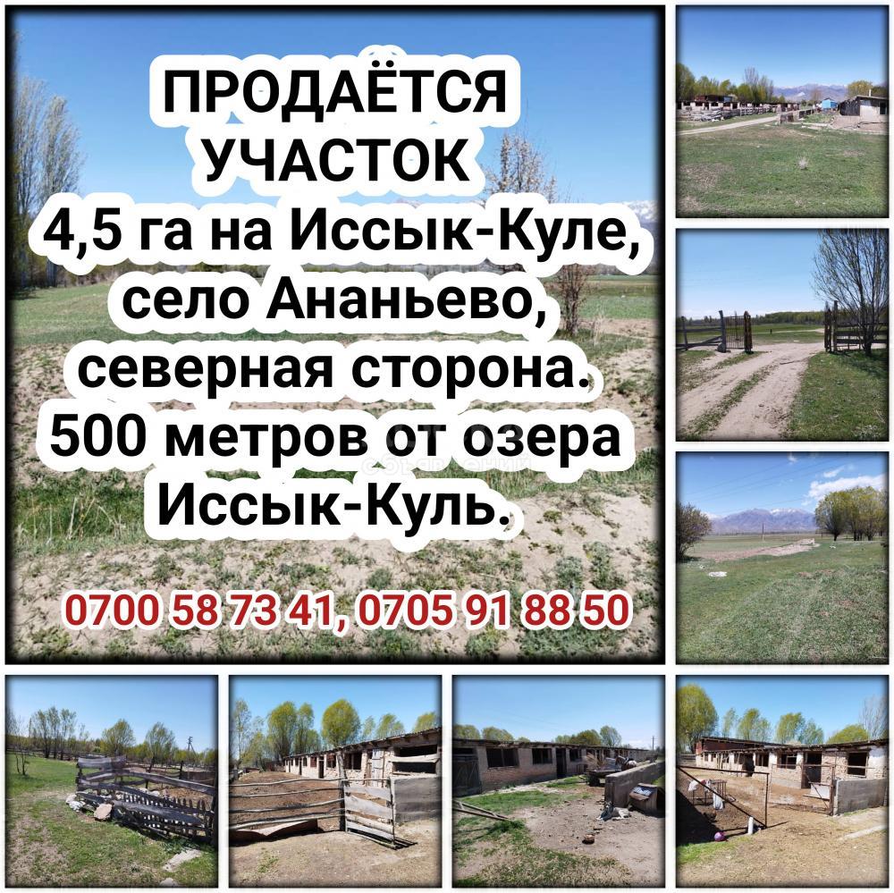 Продается участок 4,5 га на Иссык-Куле, село Ананьево, северная сторона.