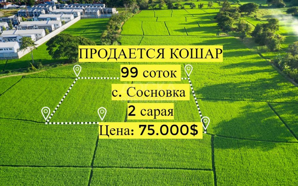 Продаю участок сельхоз назначения, 1 га село Сосновка.