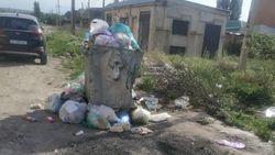 По ул.Куйручук снова не убирают мусор. Фото горожанина