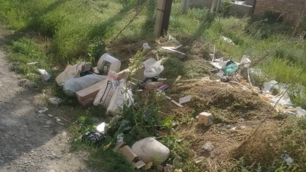 По ул.Куйручук снова не убирают мусор. Фото горожанина