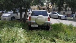 На Тыныстанова водители паркуются, уничтожая газон. Фото