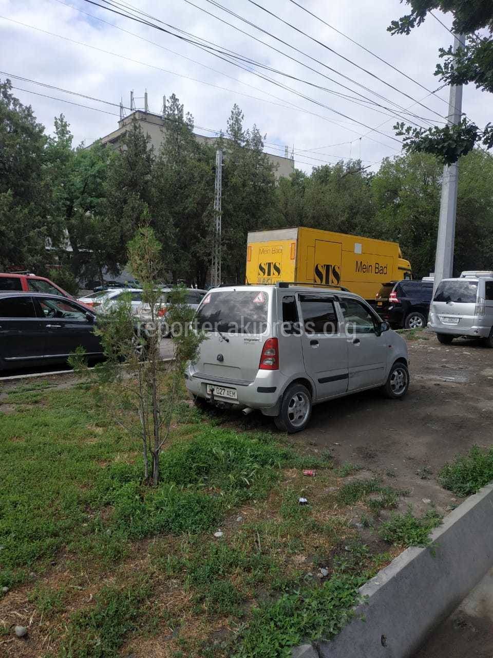 Водители уничтожают газон на Жибек Жолу. Фото