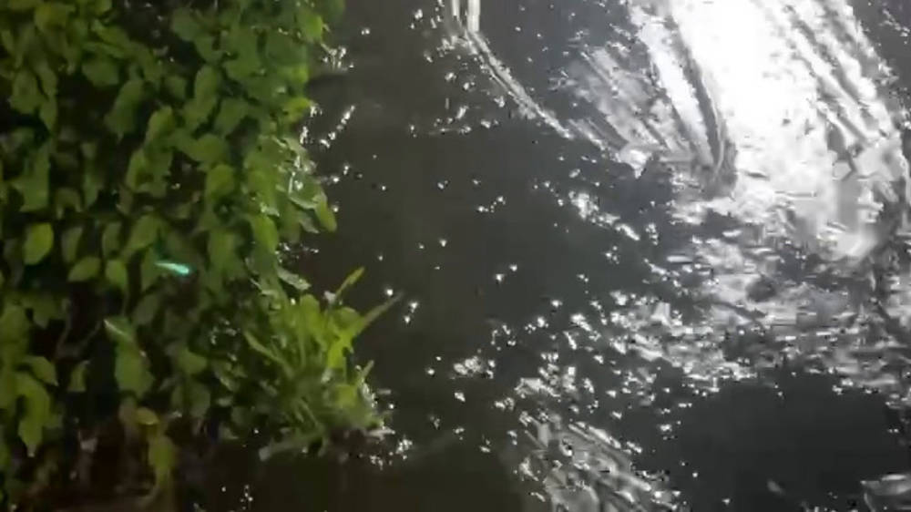 Тротуар на Айтматова затопило водой из арыка. Видео