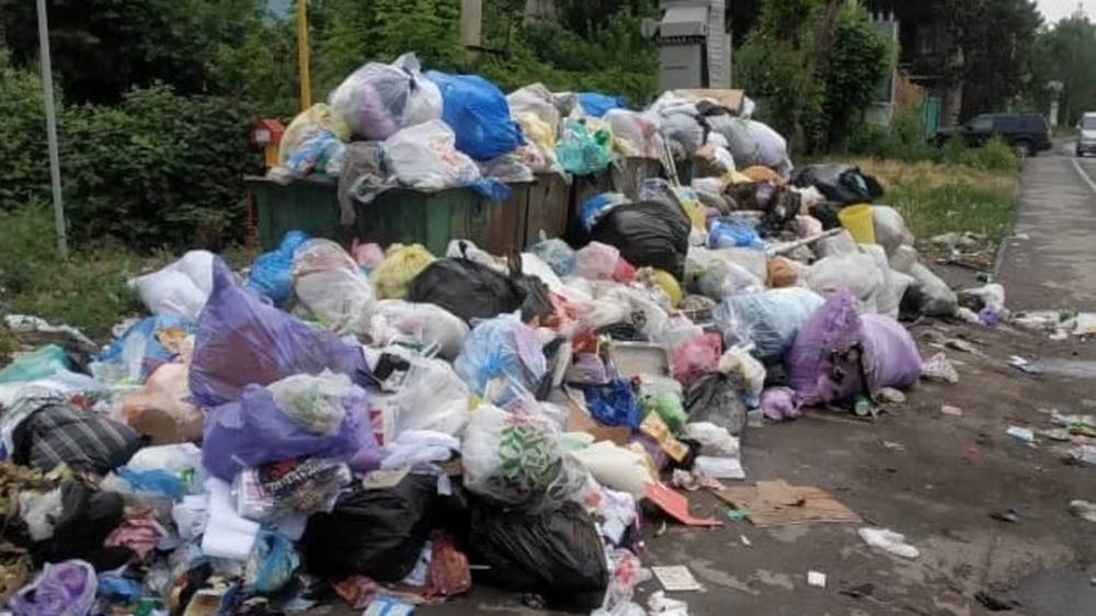 Гора мусора на ул.Гаражная в Лебединовке. Фото