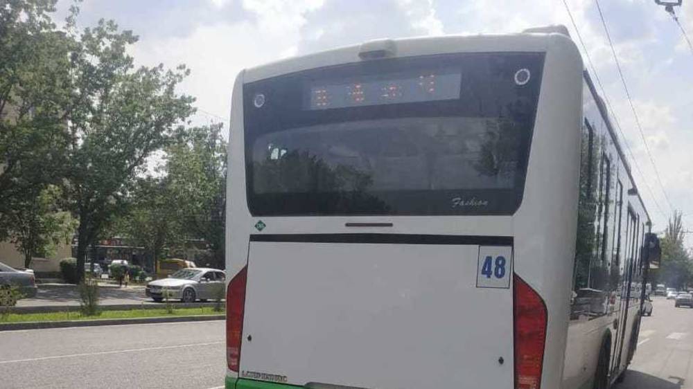 Два автобуса №48 едут друг за другом. Фото