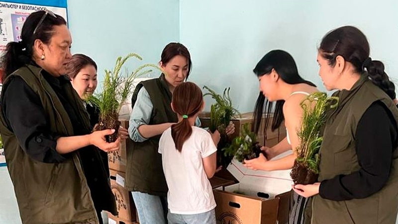 Tatarstan sends 10,000 tree saplings to Kyrgyzstan - Vimarsana News