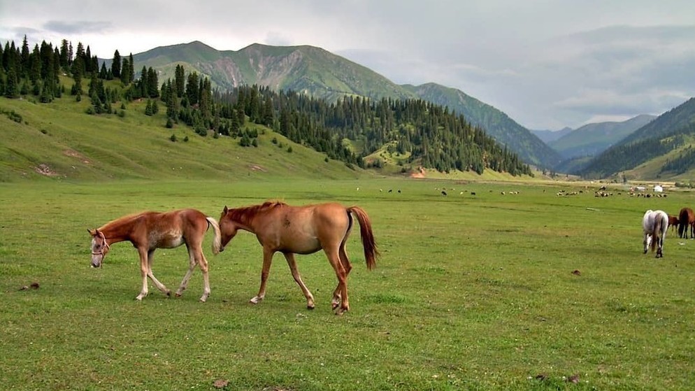 Урочище Каркыра