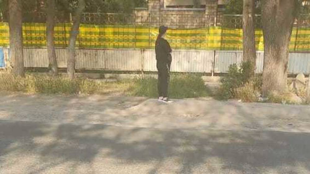 Житель Маевки просит установить «лежачий полицейский» на ул.Веселой