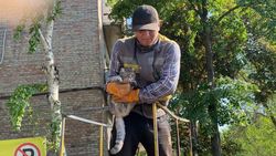 Очень милая история. «Бишкекзеленхоз» помог снять кота с дерева, которого не могли снять 3 дня