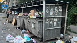 Бишкекчанка просит переставить мусорные баки с перекрестка