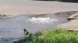 В Аламедине-1 вода из люка продолжает топить дорогу и тротуар. Видео