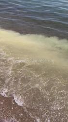 Мутная вода вызвала вопросы у отдыхающих на Иссык-Куле