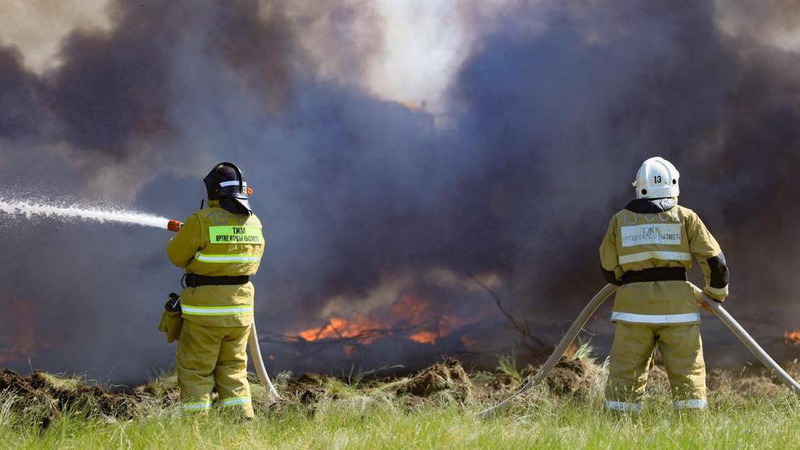 Forest fire in east of Kazakhstan localized - Ministry of Emergency Situations - Vimarsana News