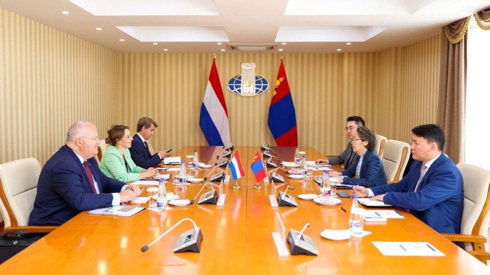 Тюльпаны и ветряк. Монумент чингисхану в монголии. Нидерланды монголия. Ветряные мельницы в голландии. Нидерланды монголия.