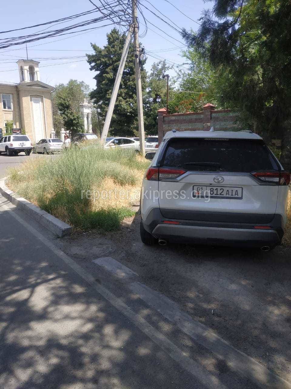 Тойота RAV4» припаркована на газоне. Фото