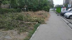Возле тротуара на Гоголя оставили спиленные ветки. Фото