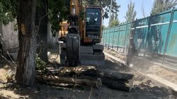 Во время ремонта тротуара на Фучика уничтожаются деревья. Видео, фото