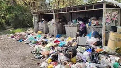 Свалка мусора на Байтик Баатыра. Видео