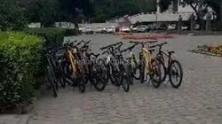 Разрешена ли аренда велосипедов в центре города? Ответ мэрии