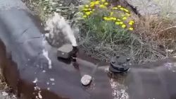 Утечка питьевой воды на Валиханова. Видео