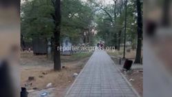 «Бишкекзеленхоз» проведет уборку парка «Красный Строитель», - мэрия