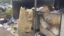 Забитые мусорки в Свердловском районе. Фото горожанки