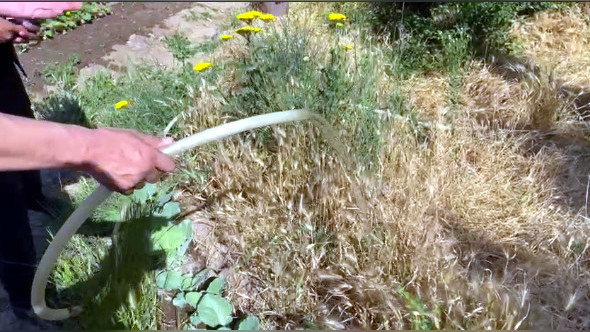In 2 days, 50 households in Archa Beshik found to be violating water use rules - Vimarsana News
