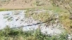 В Орловке будет экологическая катастрофа? Житель жалуется на состояние воды с месторождения «Алтынкен». Видео