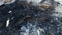 На берегу Иссык-Куля сожгли покрышку. Видео