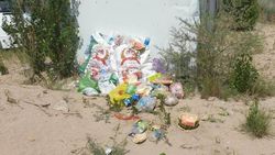 На пляже в Чолпон-Ате образовалась гора мусора. Фото