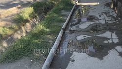 «Бишкекзеленхоз» перекроет утечку на Фучика, вода — техническая