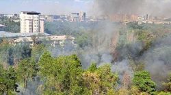 В Бишкеке на улице Токтоналиева сгорело сухотравие, - МЧС