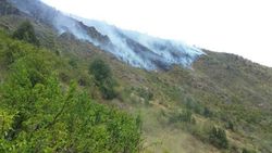 Пожар в горах Токтогула потушен, площадь возгорания составила около 19 га
